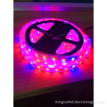 LED Grow Strip